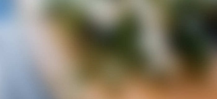 Sample Blog Post 3