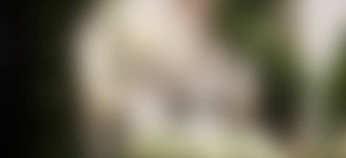 Sample Blog Post 2