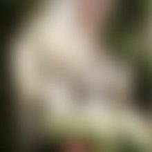 Sample Blog Post 2